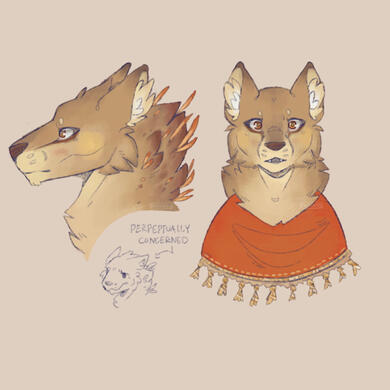 colored headshot ; 30$